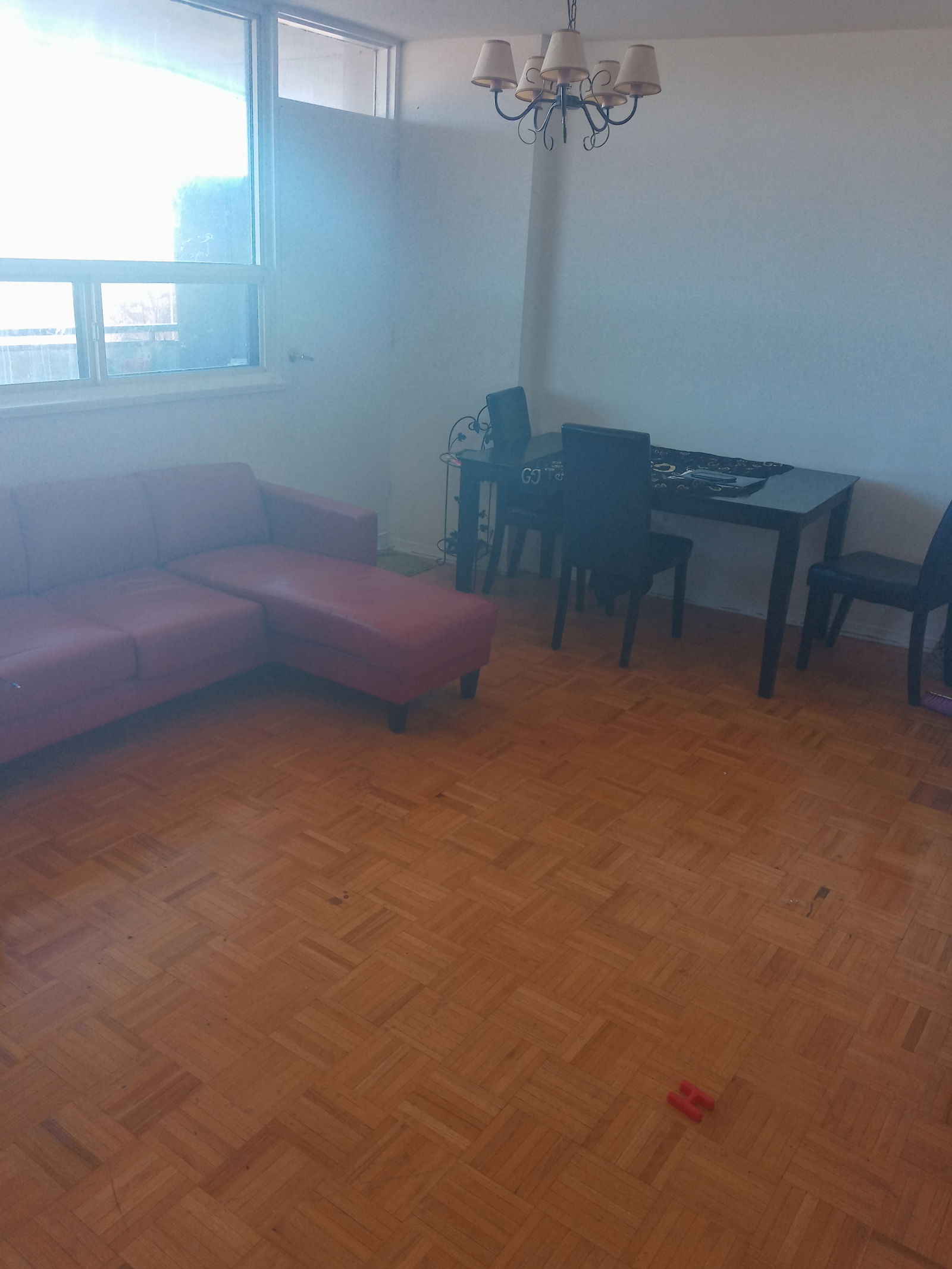 Quedarse En Casa Toronto 257489