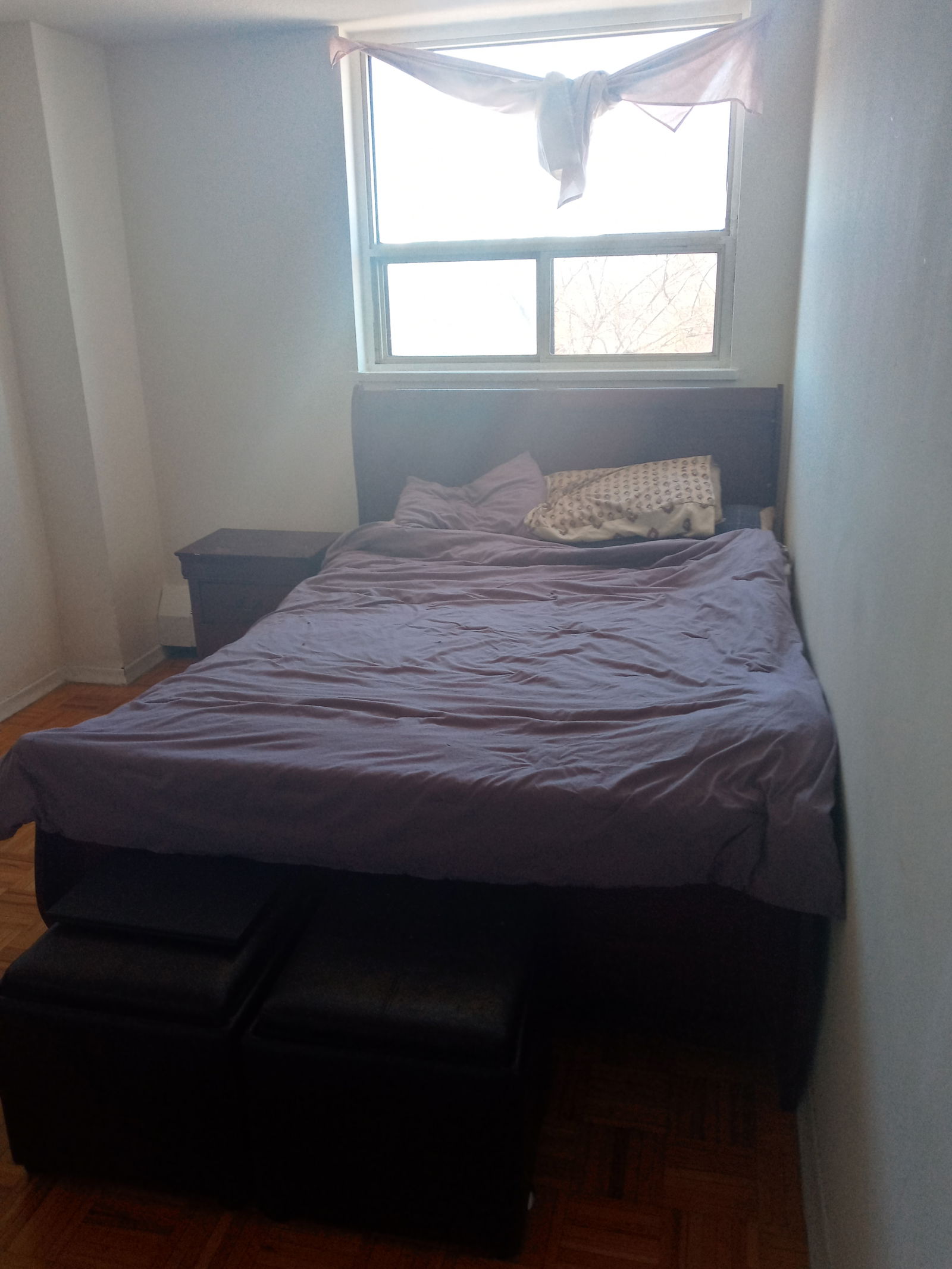 Quedarse En Casa Toronto 257489