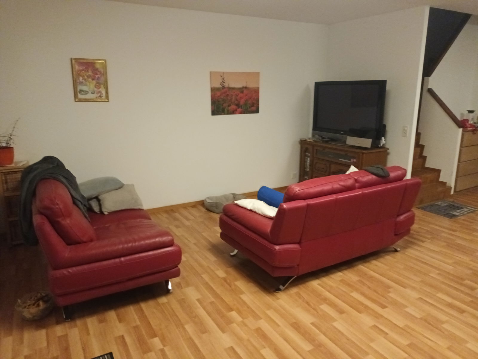 Colocación Lucens 262466