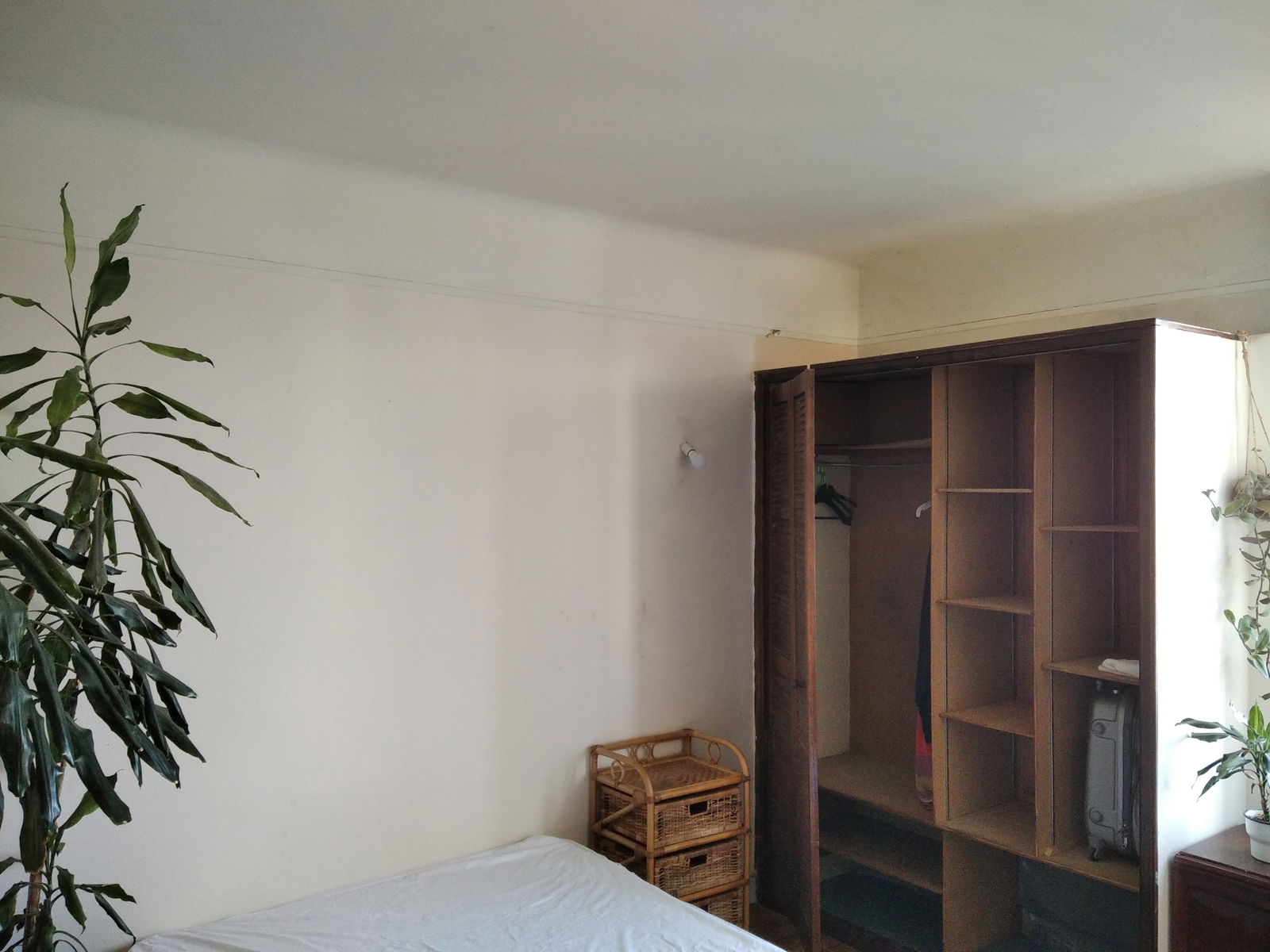 Colocación Ivry-sur-Seine 263278