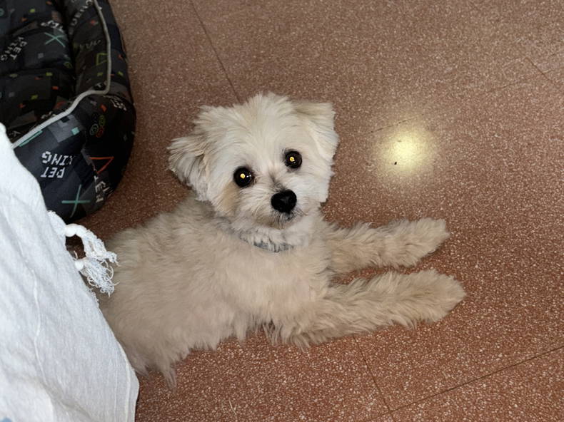 Gastekamers San Luis de Sabinillas 426693-1