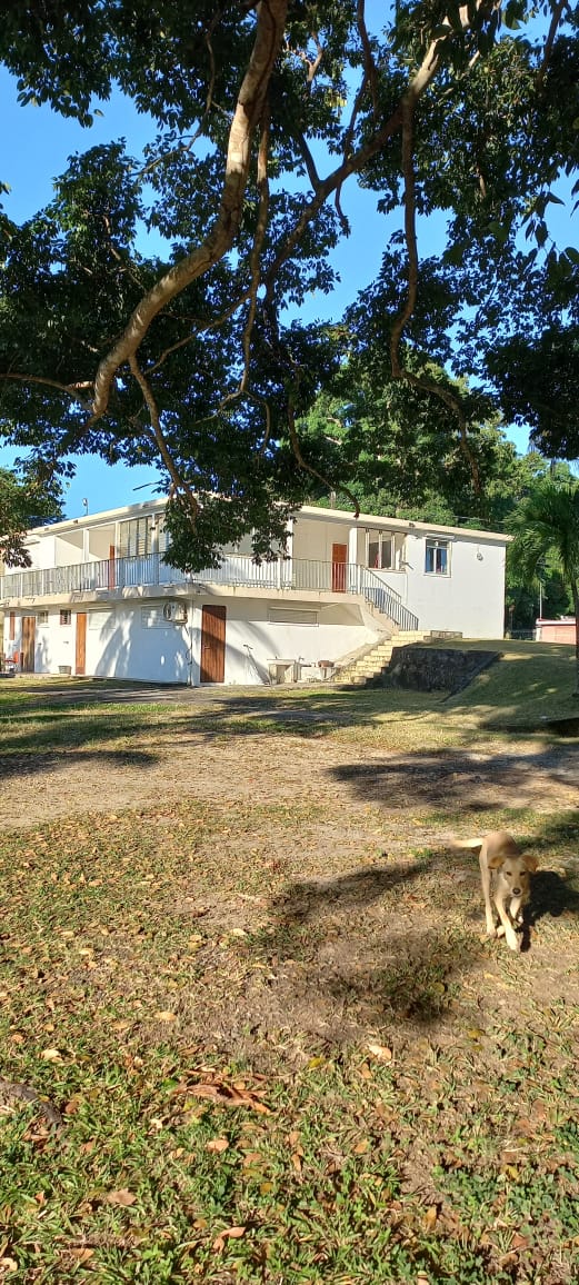 Colocación Baie-Mahault 582079