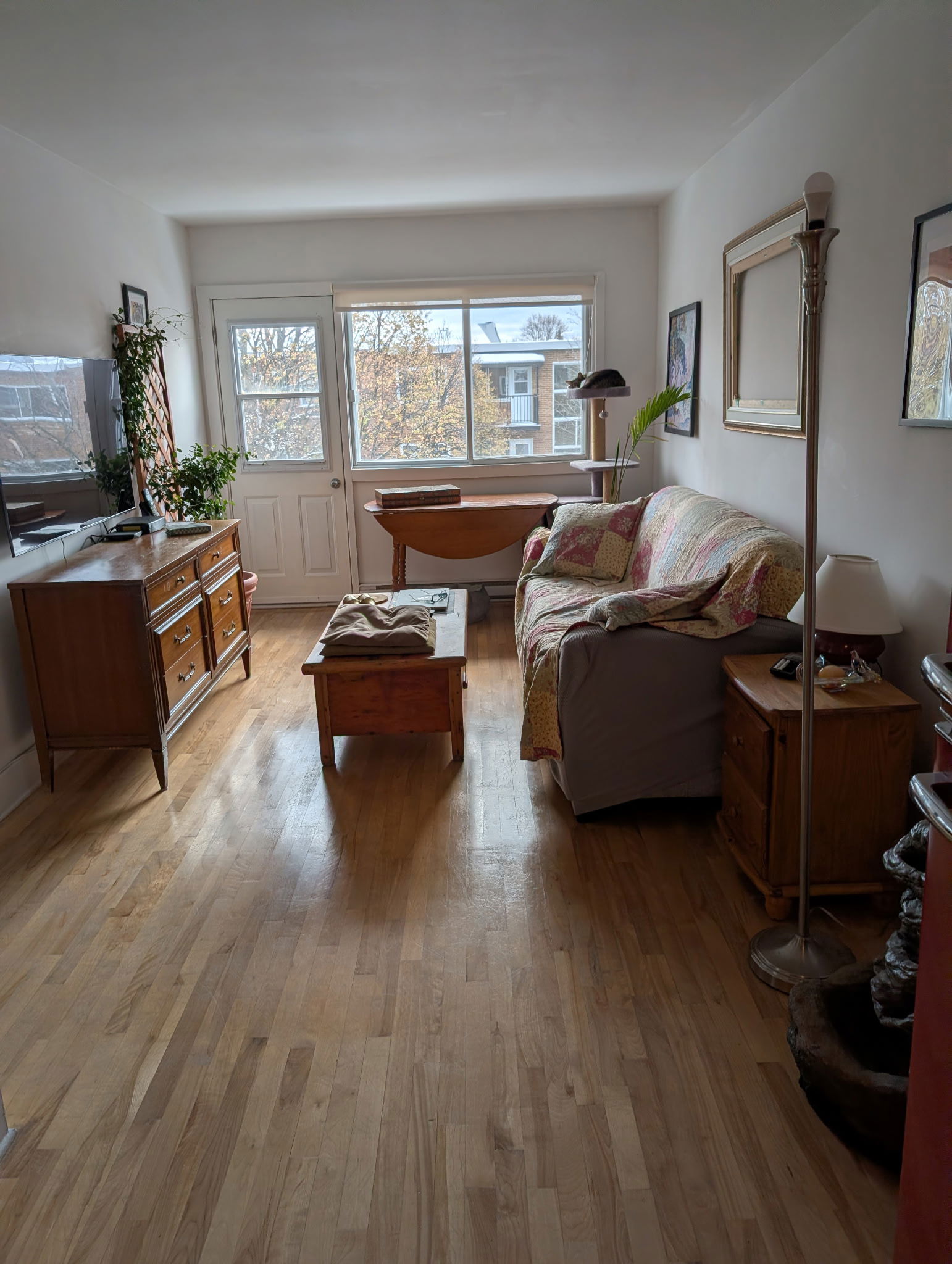 Quedarse En Casa Montréal 638852