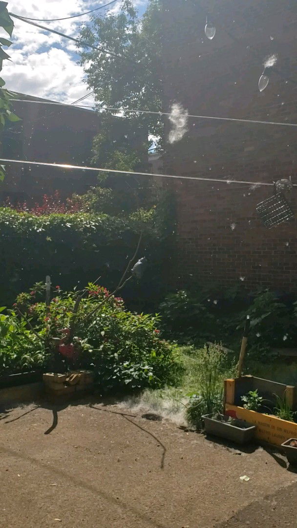 Quedarse En Casa Montréal 615288