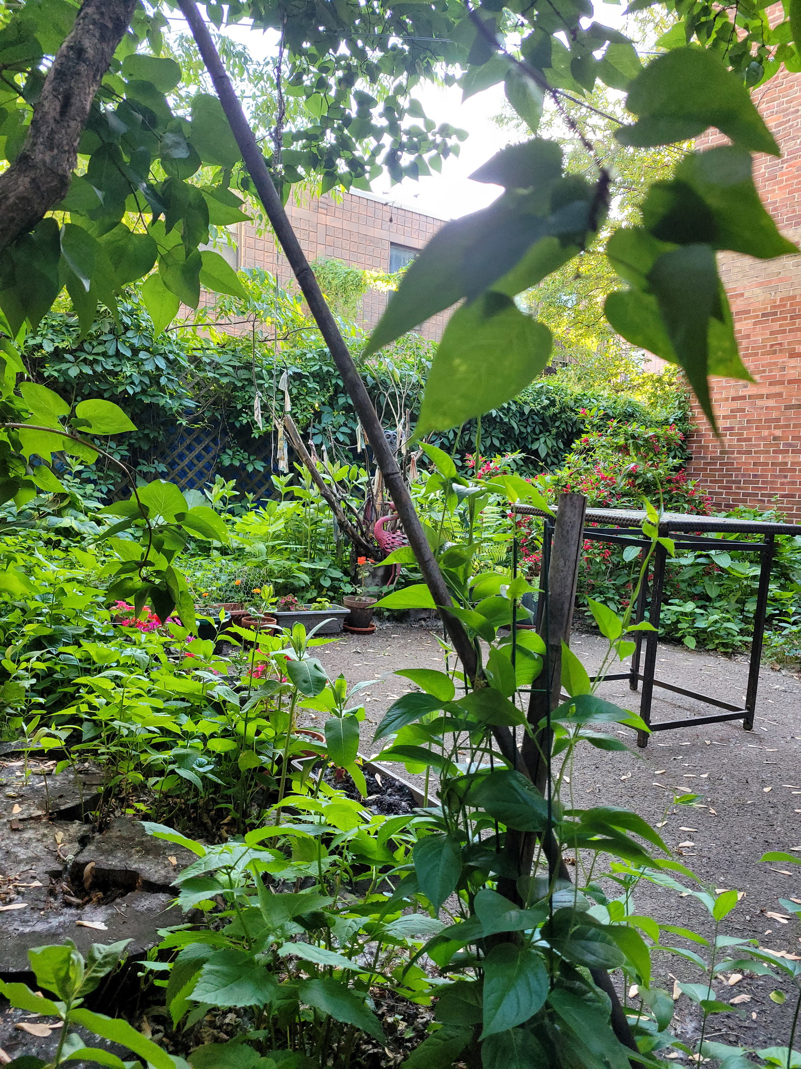 Habitación En Casa Del Anfitrión Montréal 615288