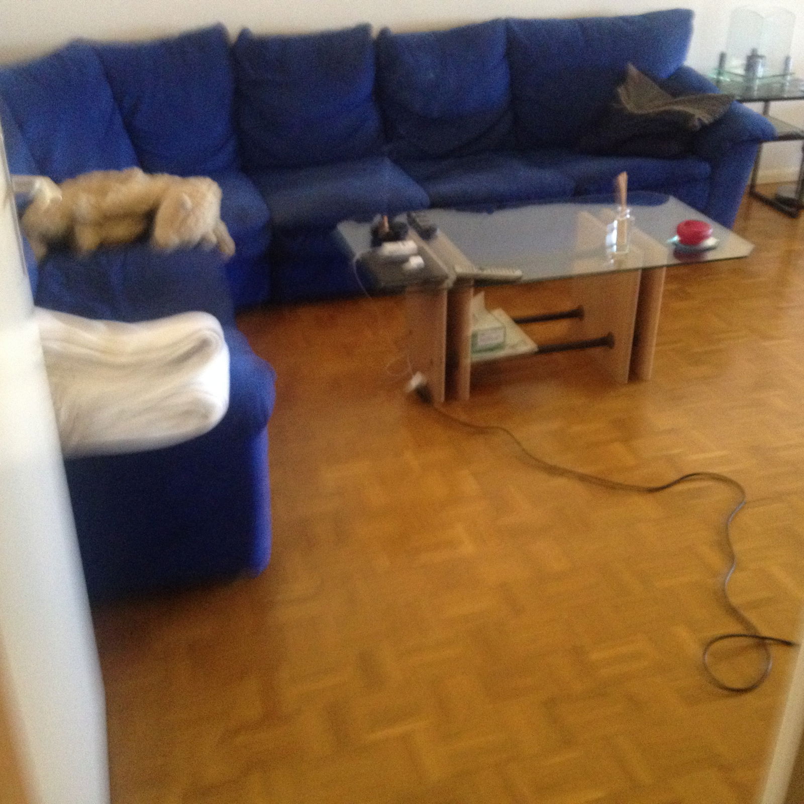 Quedarse En Casa Lancy 227894