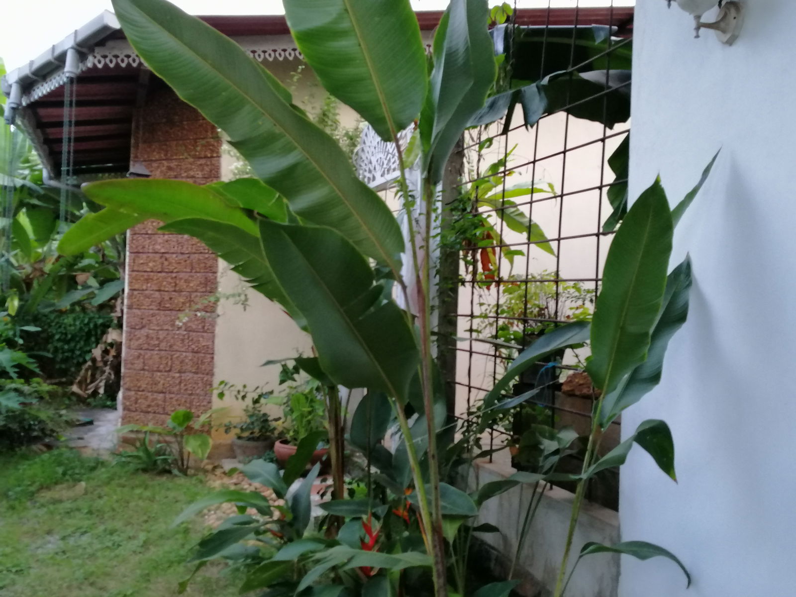 Quedarse En Casa Ragama 264209