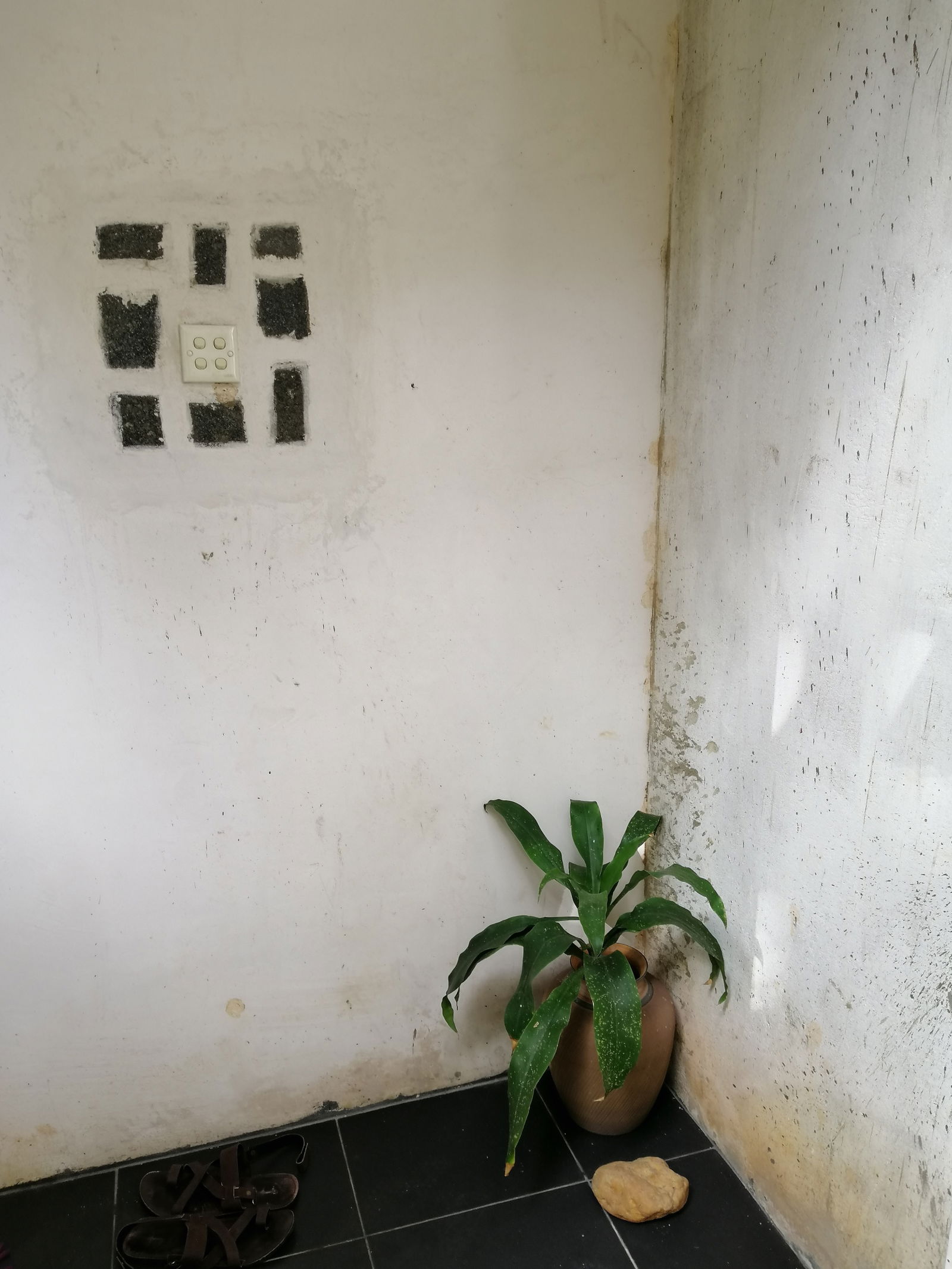 Quedarse En Casa Ragama 264209
