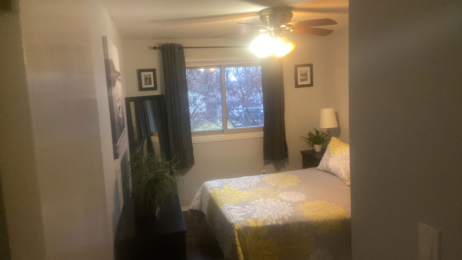 Coliving Blenheim 538112