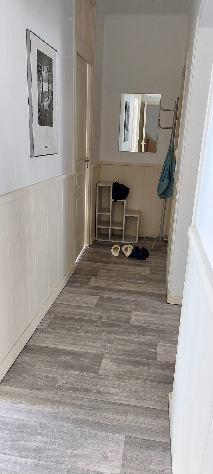 Colocación Saumur 491238