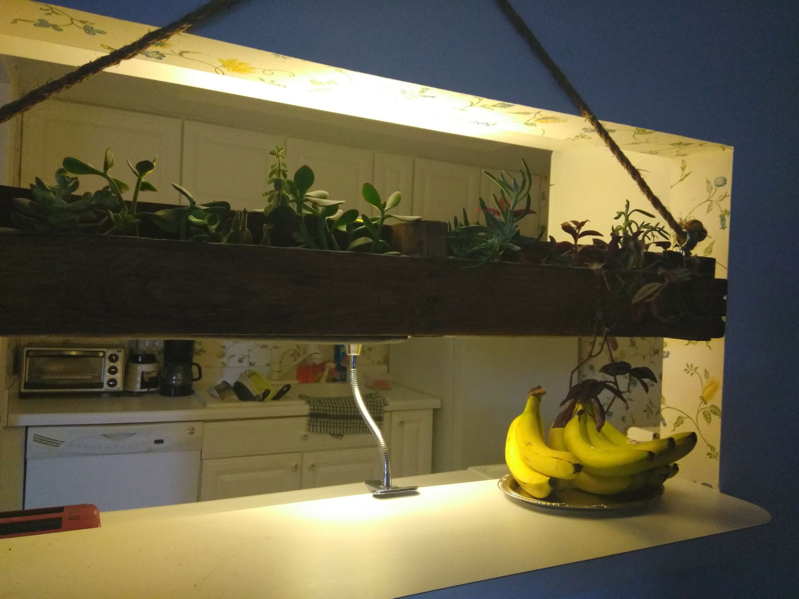 Quedarse En Casa New Braunfels 202884