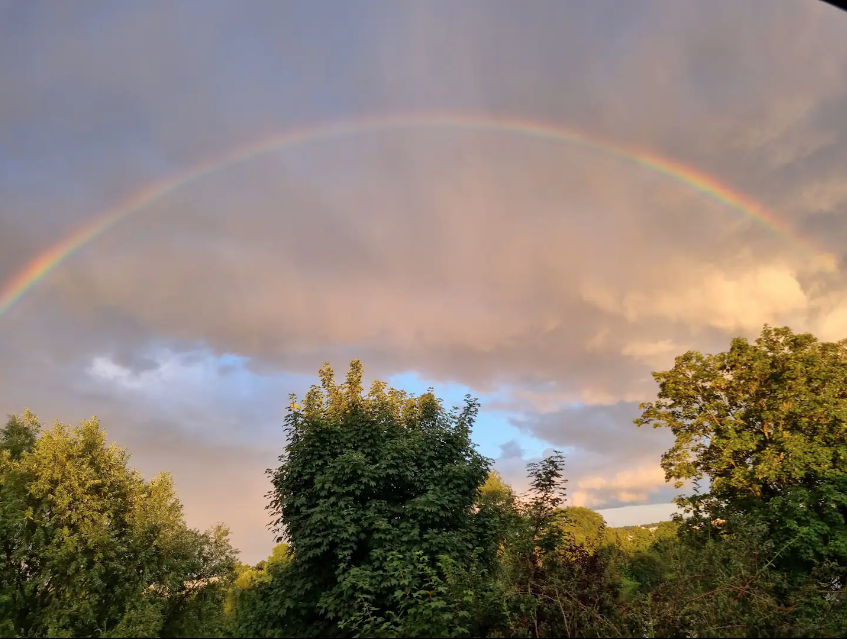 Colocación Carrières-sous-Poissy 267034