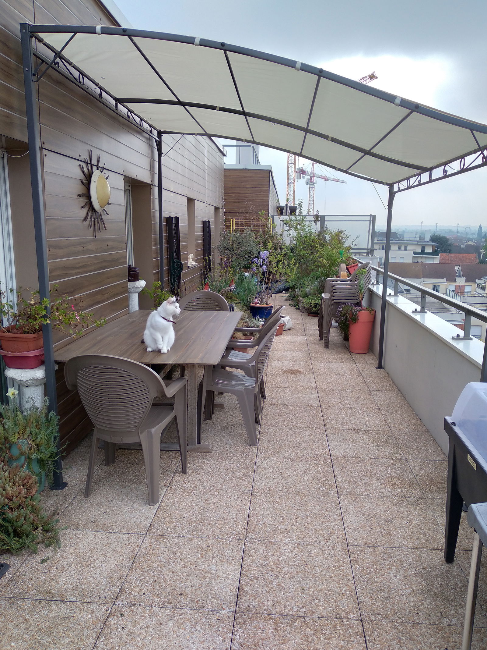 Colocación Le Blanc-Mesnil 72715