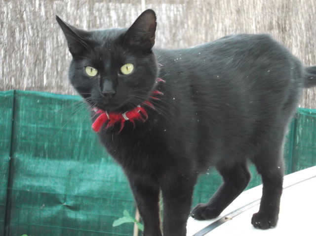 Quedarse En Casa Livron-sur-Drôme 35699