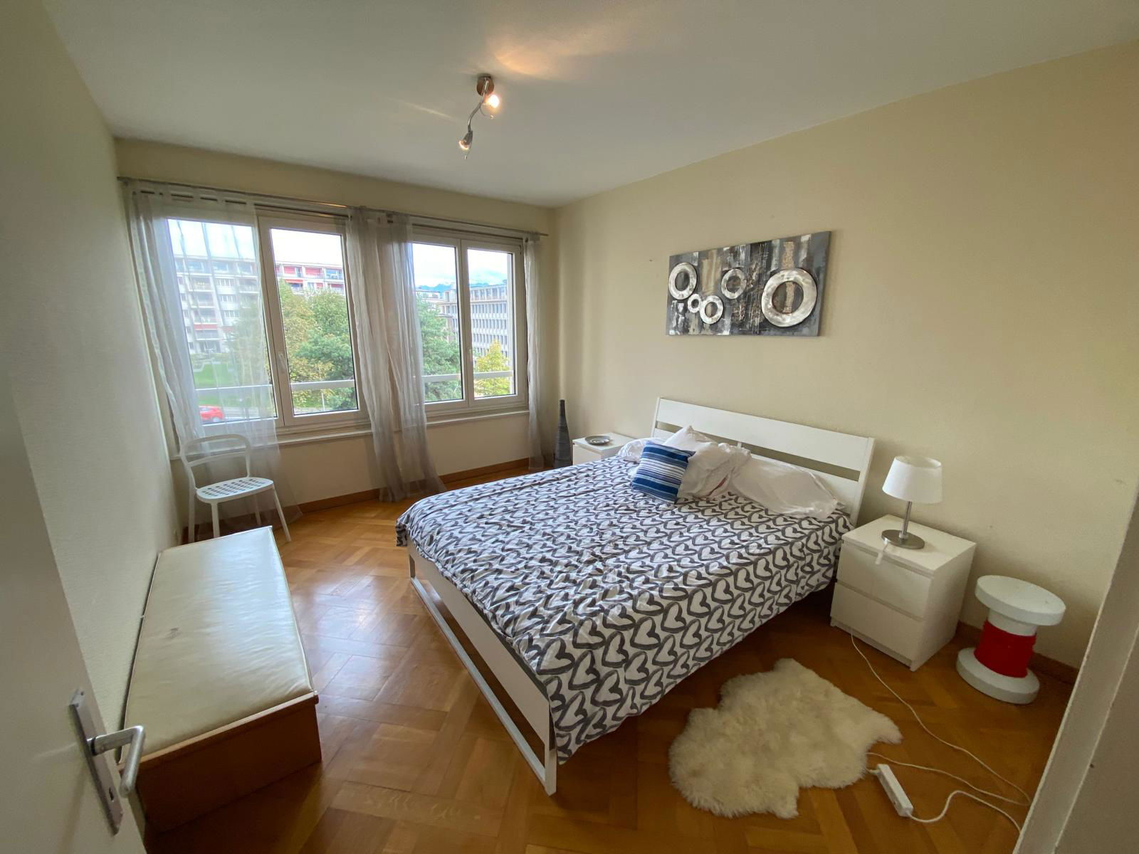 Colocación Lausanne 623406