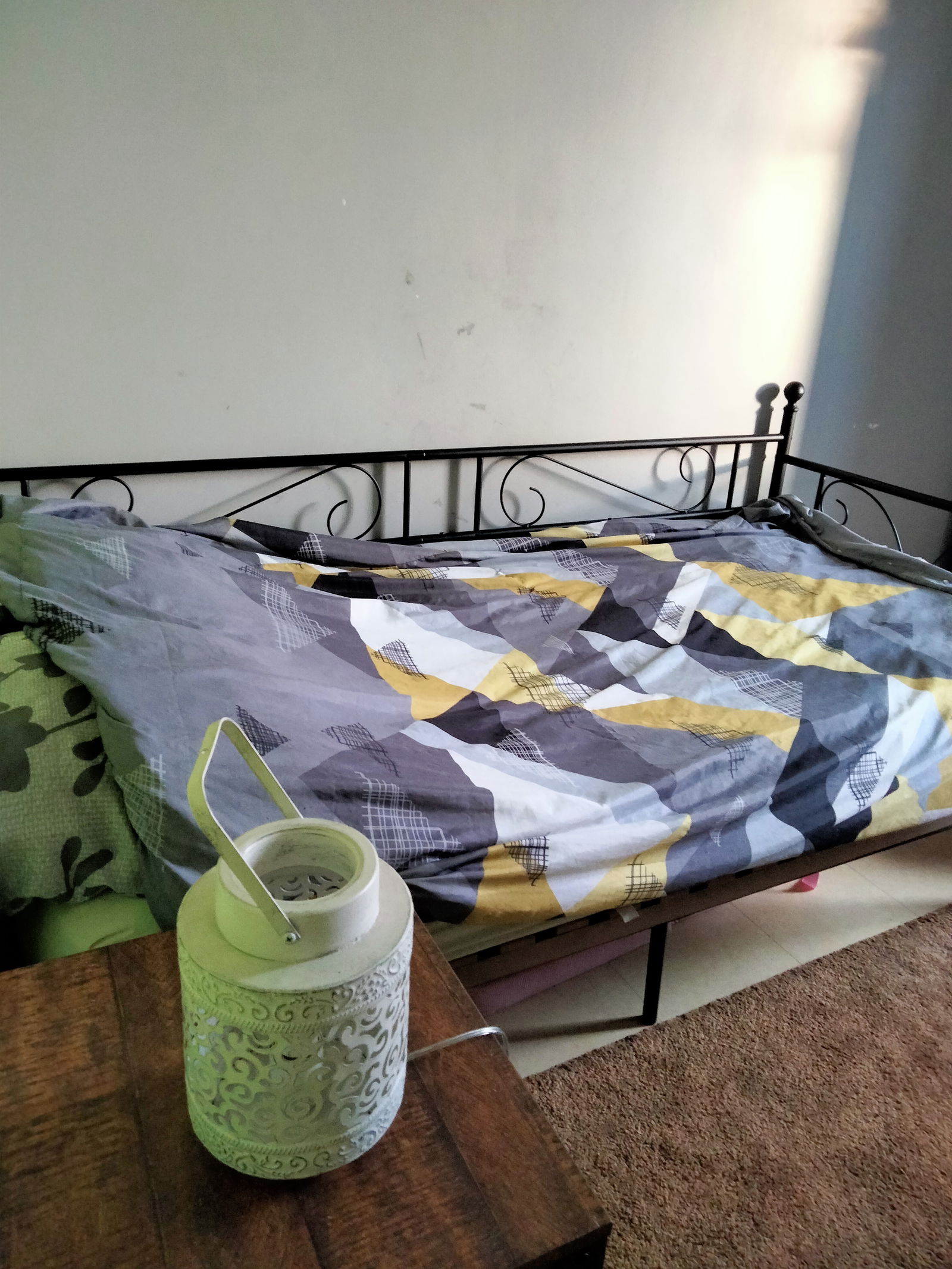Colocación Antony 248442