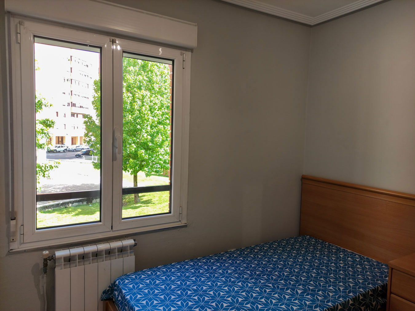 Colocação Oviedo 259456