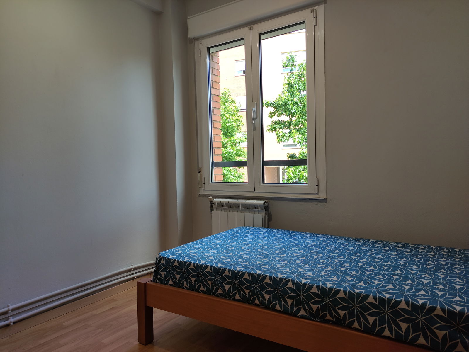 Colocação Oviedo 259456