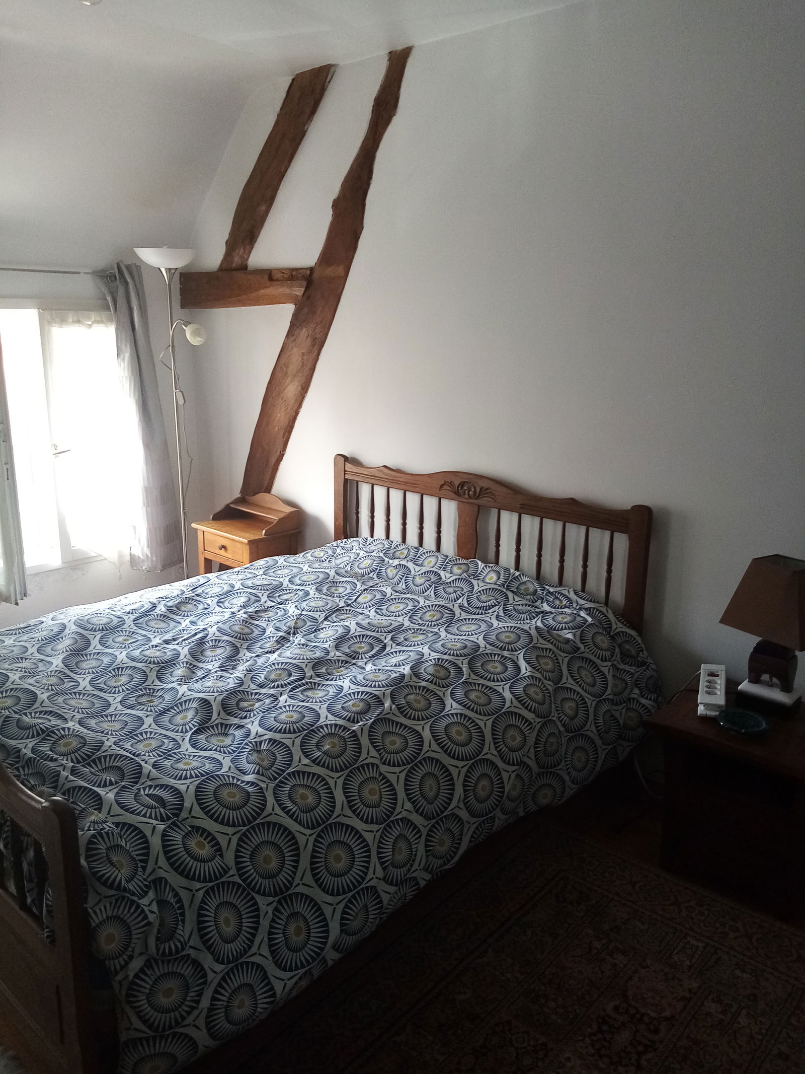 Colocación Tourny 52091