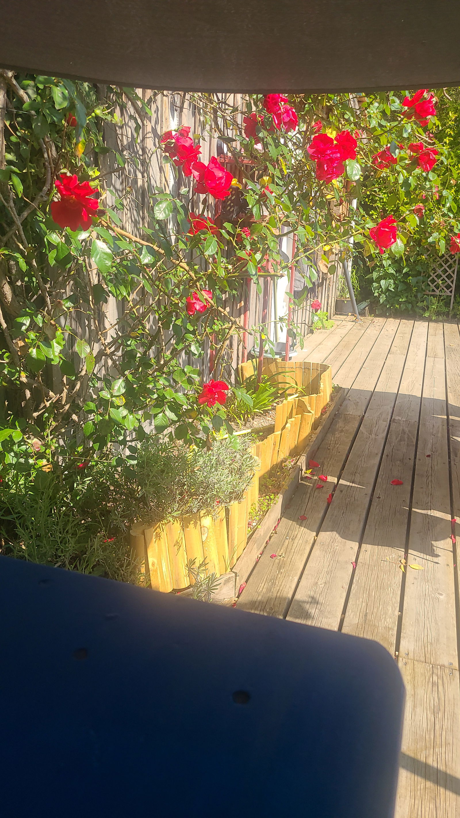 Quedarse En Casa Eysines 626791