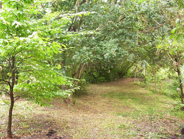 Estudio Independiente Livron-sur-Drôme 45732