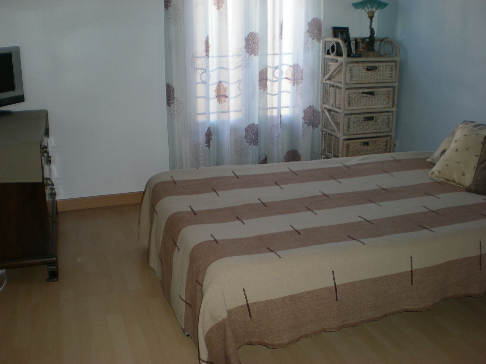 Colocación Nice 62449