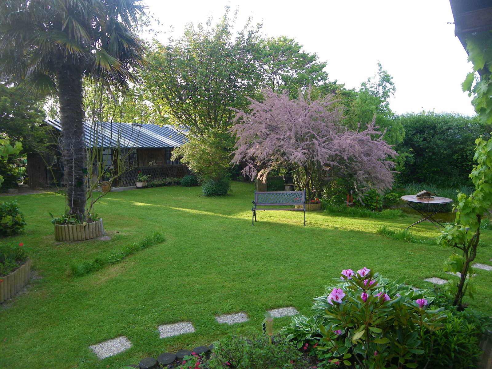 Quedarse En Casa Hirel 103560