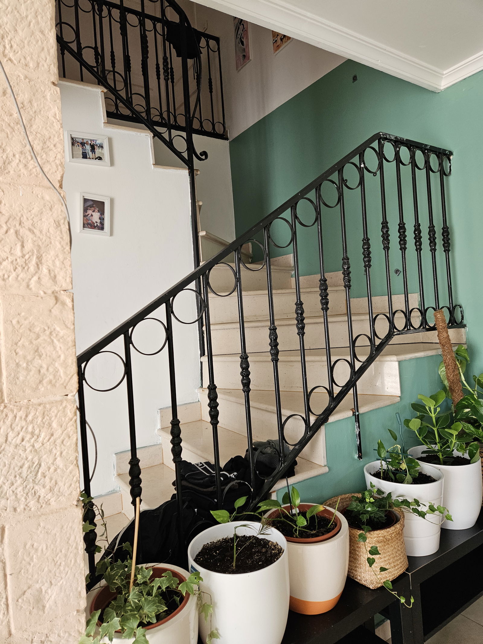 Quedarse En Casa Olivet 651502