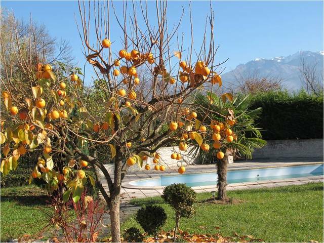 Quedarse En Casa Meylan 25361