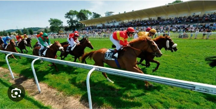 Quedarse En Casa Dieppe 457919