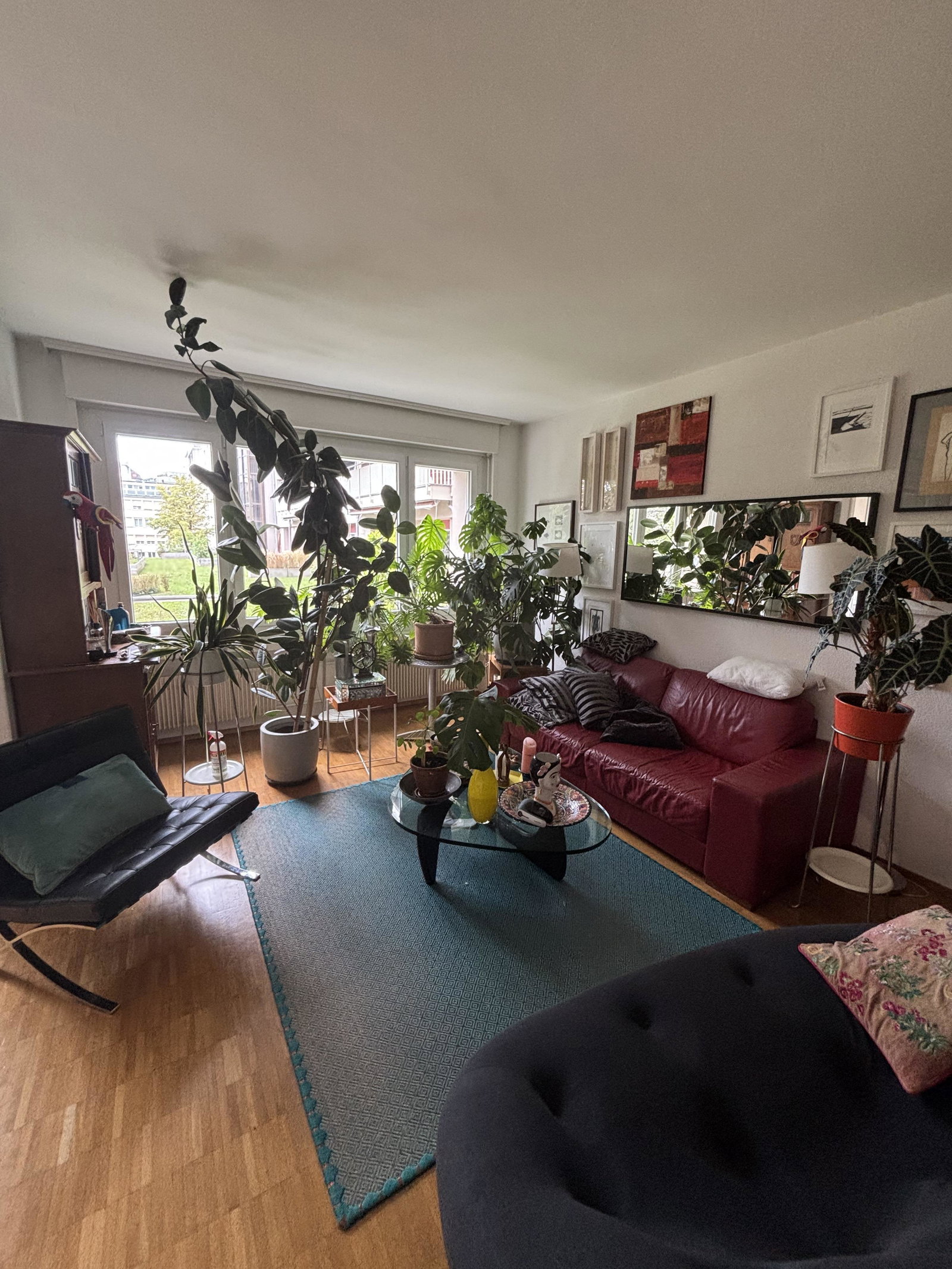 Colocación Lausanne 660253