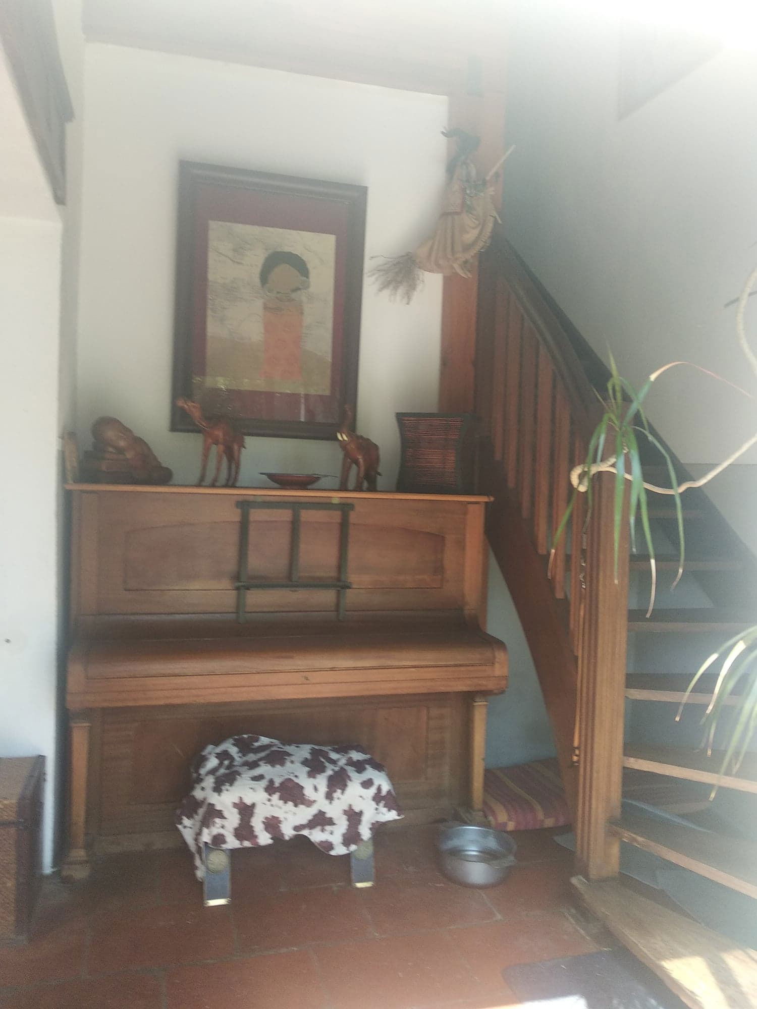 Quedarse En Casa Fenouillet 240696