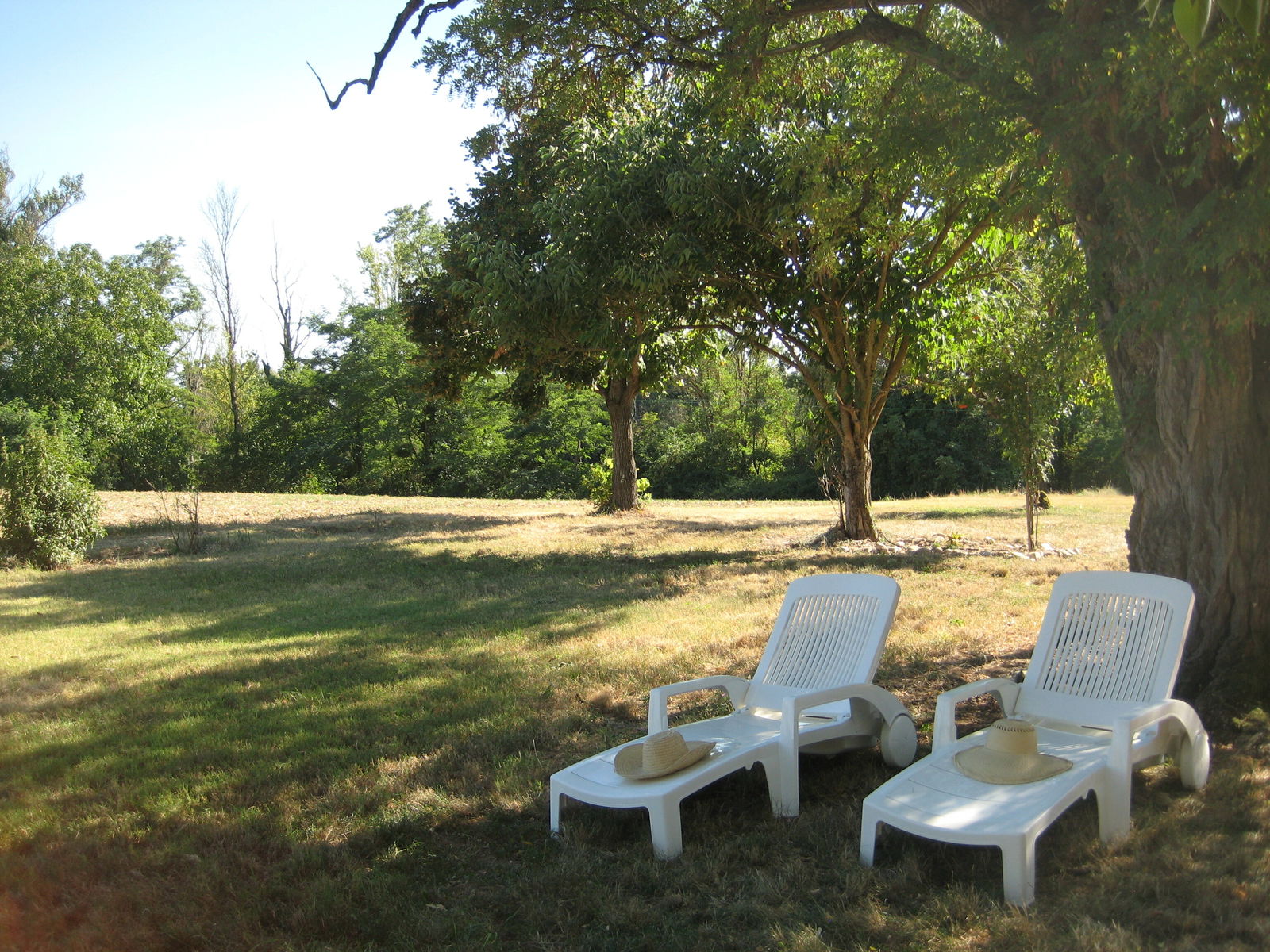 Colocación Layrac-sur-Tarn 58574