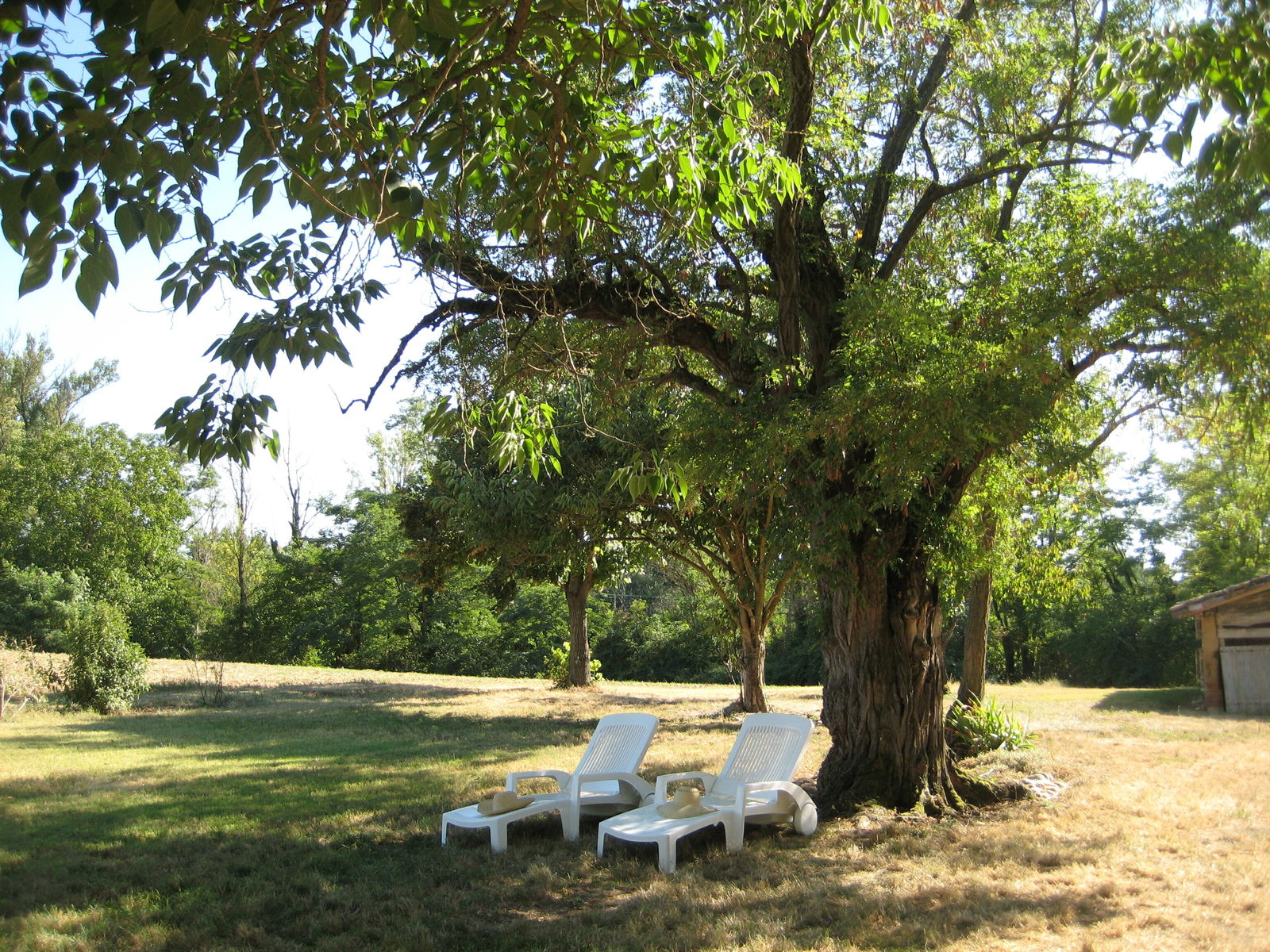 Colocación Layrac-sur-Tarn 58574