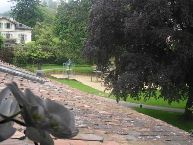 Quedarse En Casa Montreux 49724