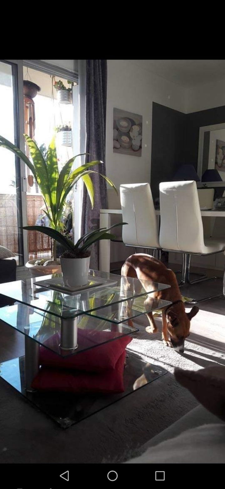 Quedarse En Casa Nice 241736