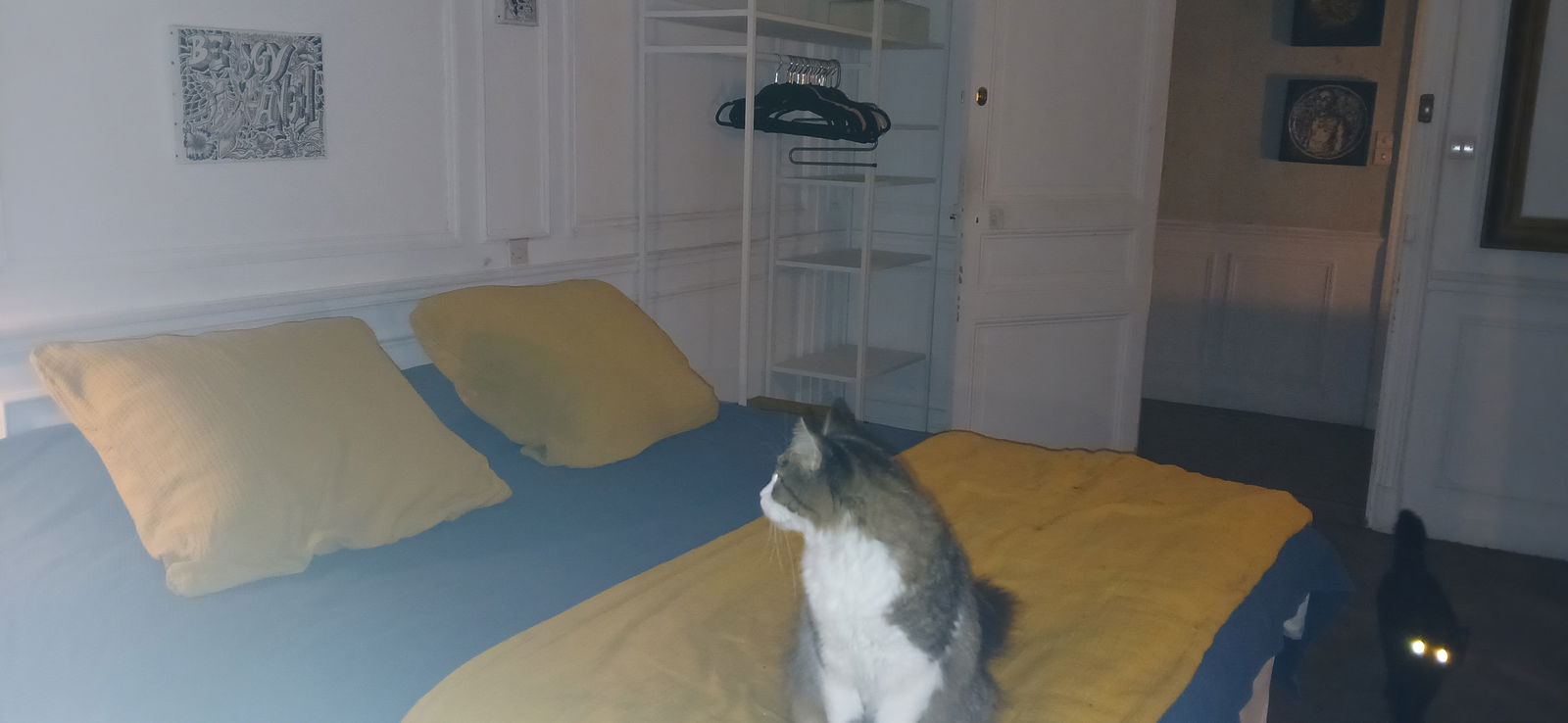 Quedarse En Casa Nice 448149