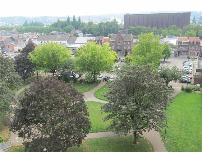 Colocación Herstal 141804