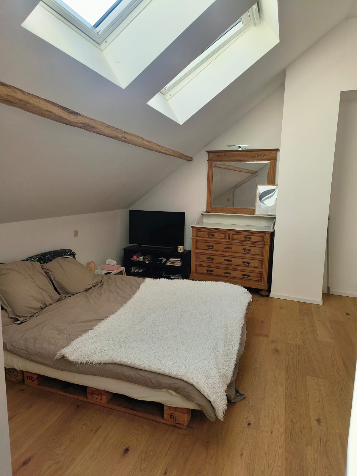 Colocación Havelange 491936