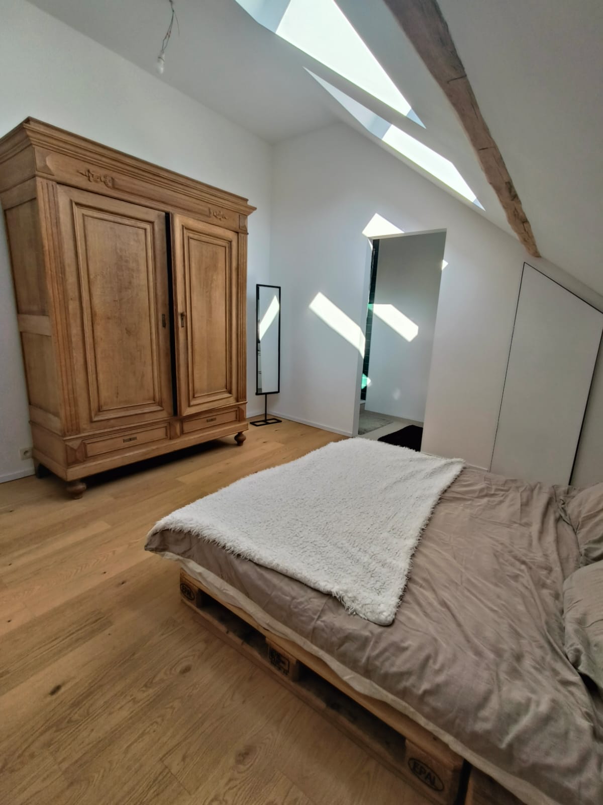 Colocación Havelange 491936