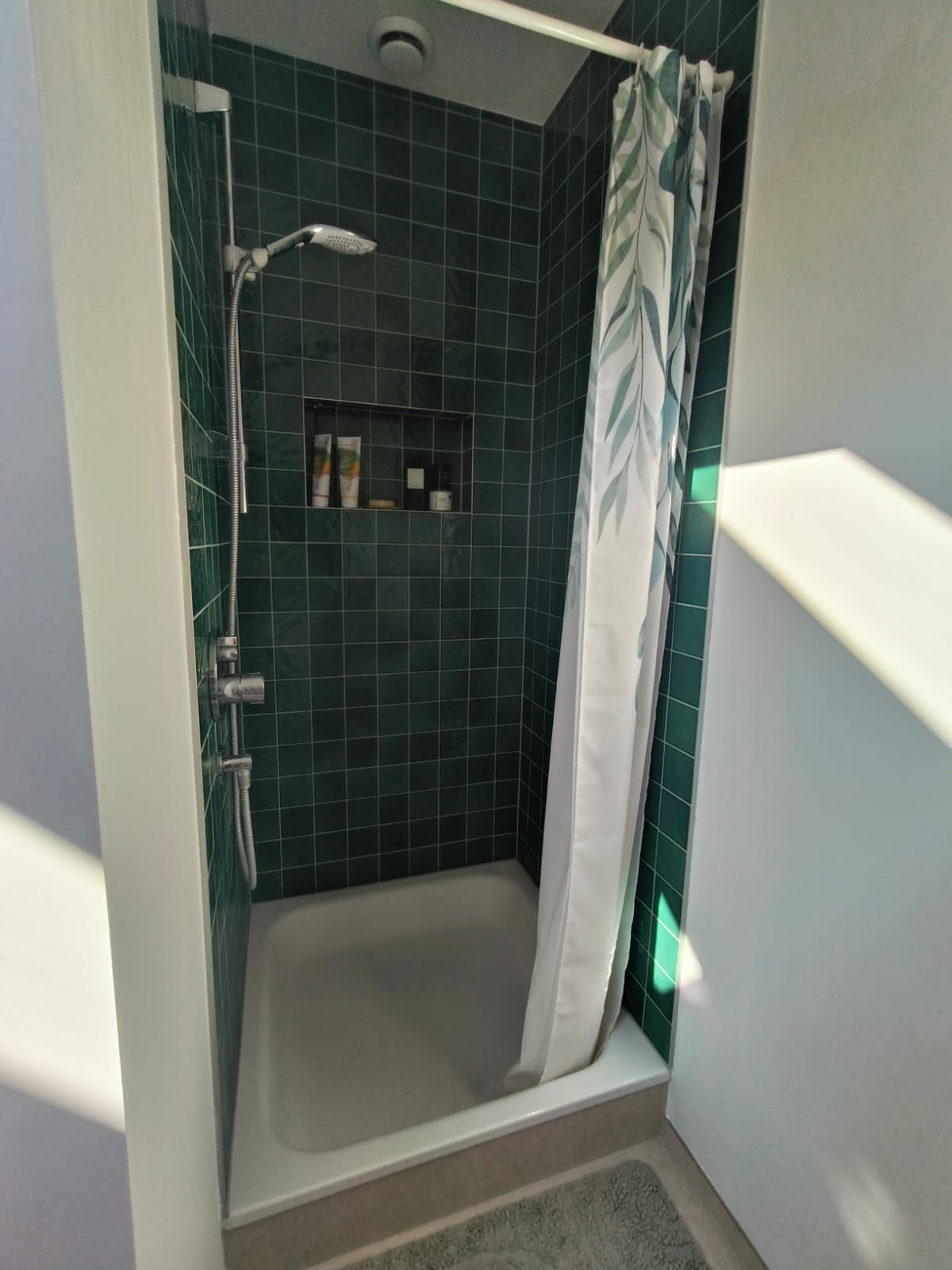 Colocación Havelange 491936