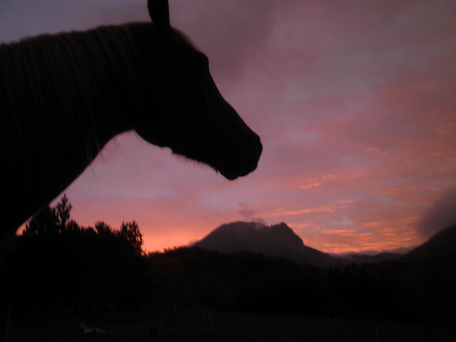 Quedarse En Casa Bugarach 104314