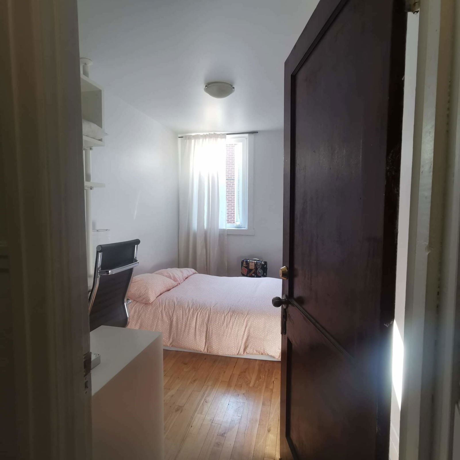 Colocación Montréal 254838