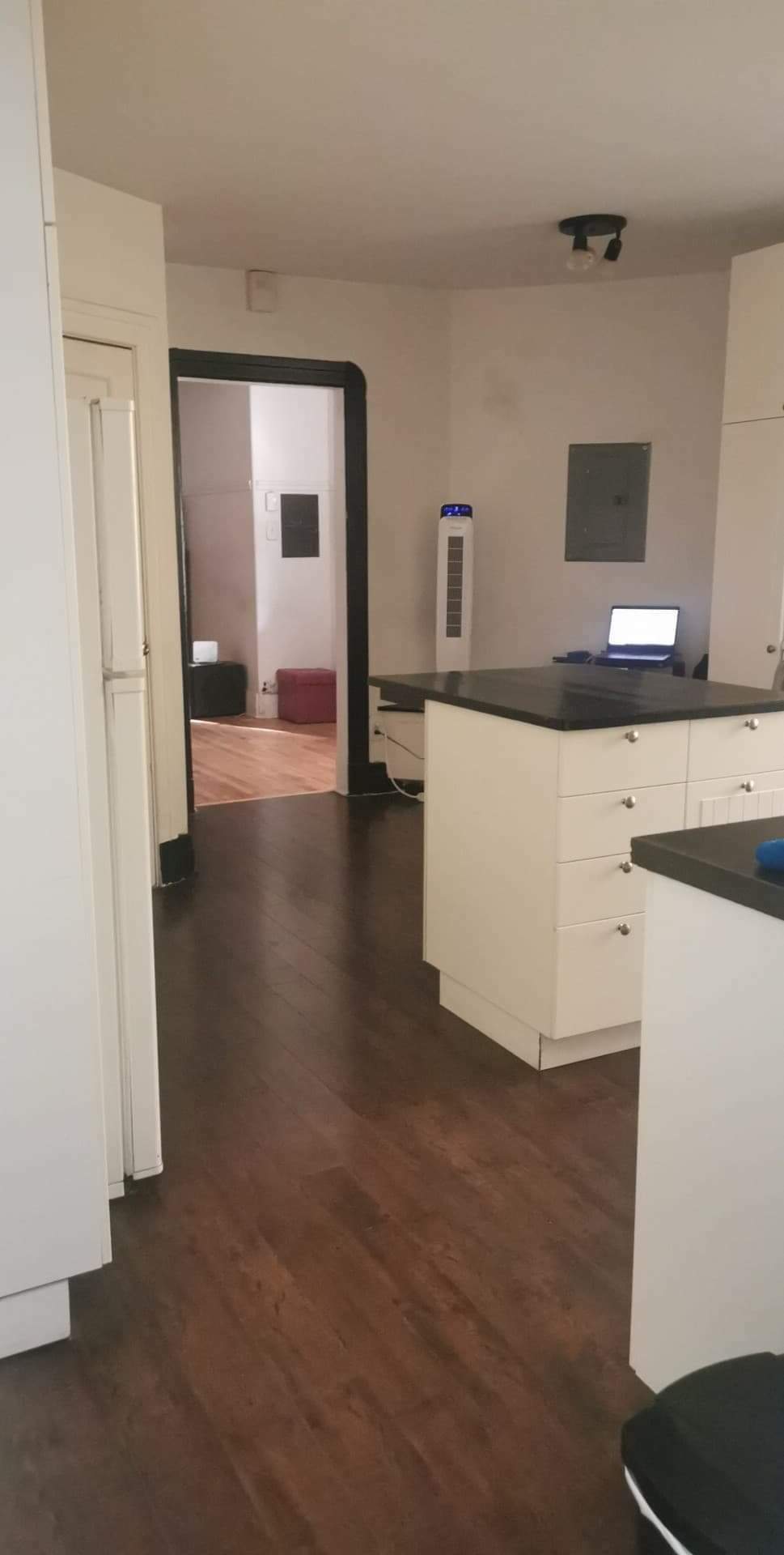 Colocación Montréal 254838