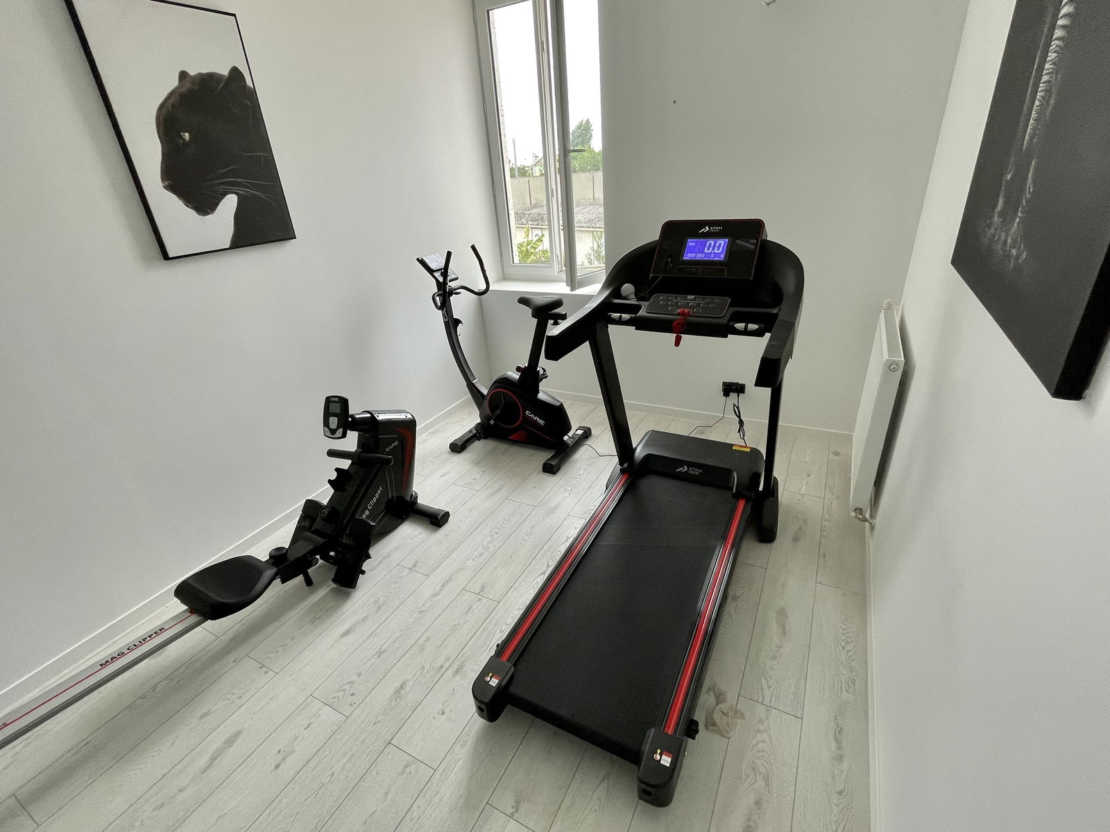 Colocación Angoulême 636454