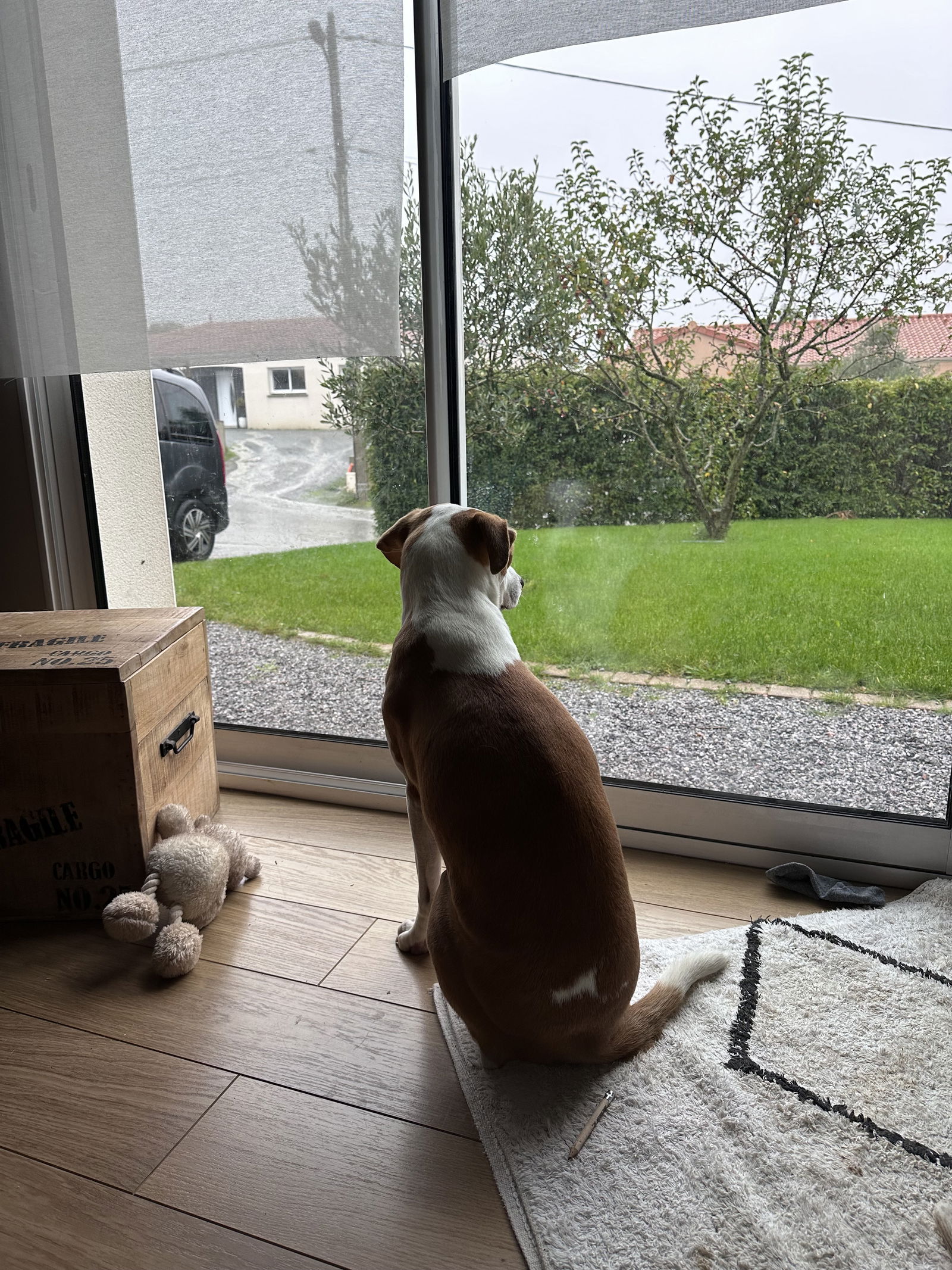 Quedarse En Casa Mauges-sur-Loire 475671