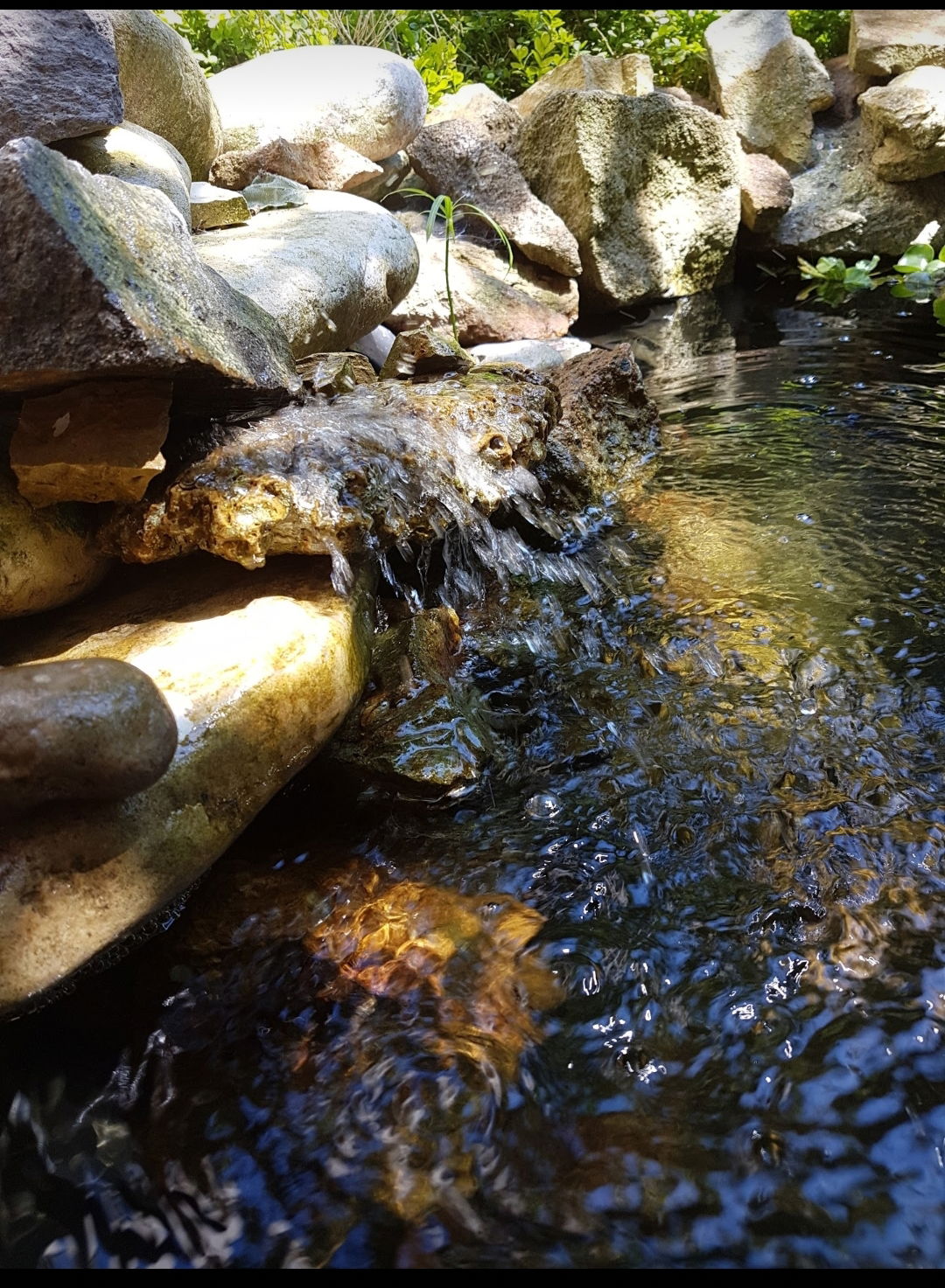 Quedarse En Casa Vichy 240110