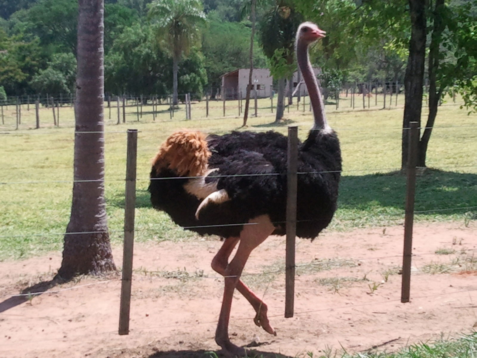 Quedarse En Casa Asuncion 88612