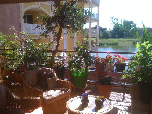 Quedarse En Casa Lattes 9674