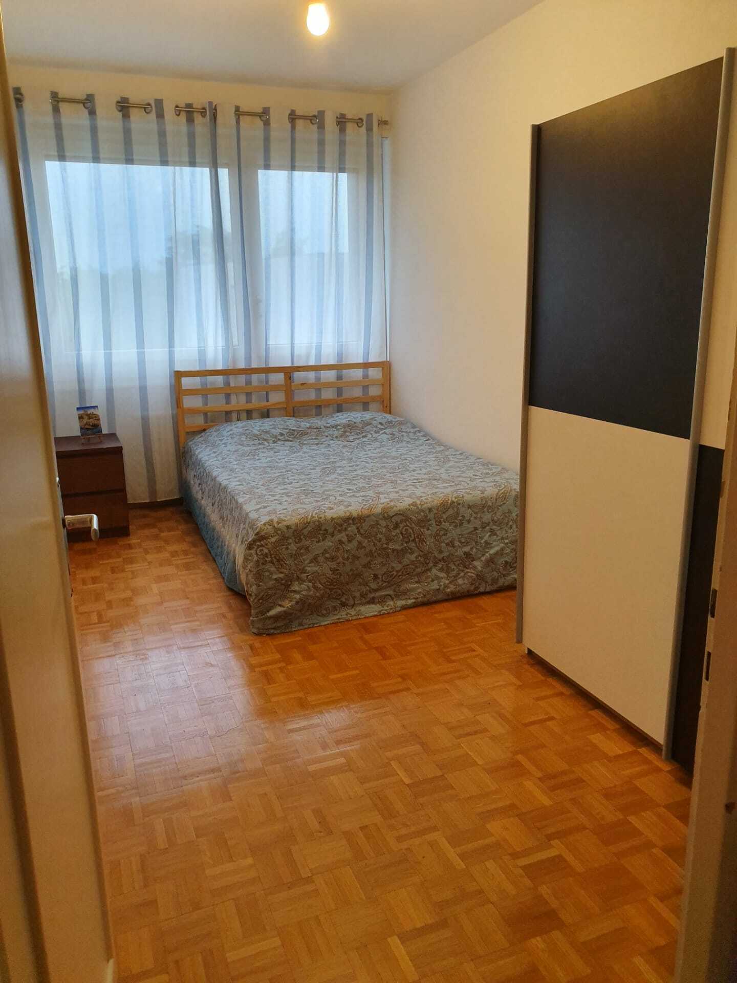 Colocación Vernier 238451